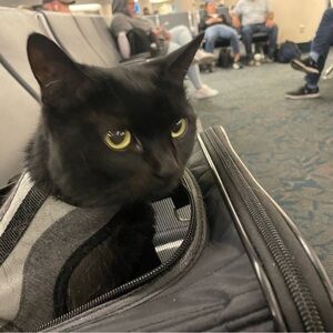 Meet your Posher, Alexandra